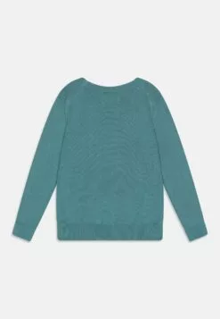 Hackett London HACKETT CREW - Striktrøjer